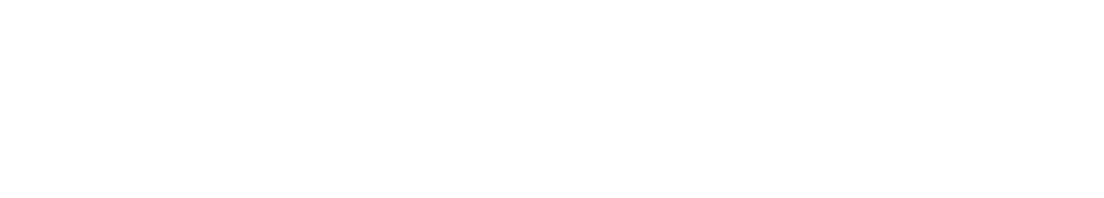 Straight-Line Leadership Int